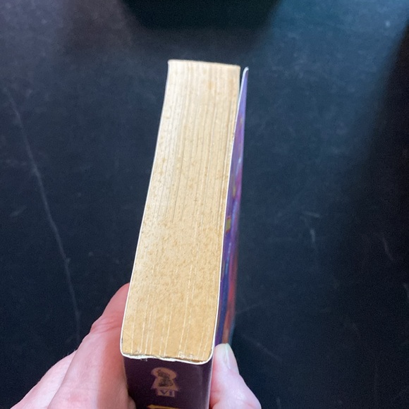 PAPERBACK Stephen King's Song of Susannah: The Dark Tower VI - Picture 6 of 7